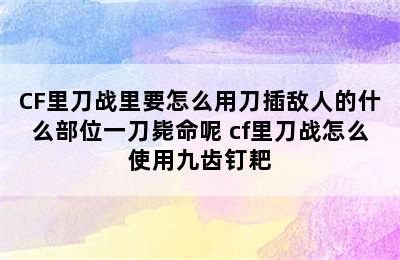 CF里刀战里要怎么用刀插敌人的什么部位一刀毙命呢 cf里刀战怎么使用九齿钉耙